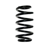 Fahrwerksfeder-Set vorne Schraubenfeder 273mm SPIDAN...