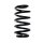 Fahrwerksfeder-Set vorne Schraubenfeder 273mm SPIDAN für AUDI A4 B6