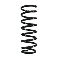 Fahrwerksfeder-Set hinten Schraubenfeder 293mm SPIDAN...