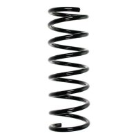 Fahrwerksfeder-Set vorne Schraubenfeder 308mm SPIDAN...