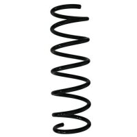 Fahrwerksfeder-Set hinten Schraubenfeder 344mm SPIDAN...
