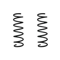 Suspension spring set rear coil spring 344mm SPIDAN for...