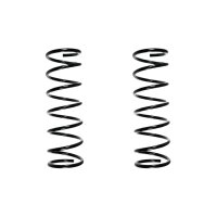 Suspension spring set rear coil spring 407mm SPIDAN for...
