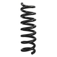 Fahrwerksfeder-Set hinten Schraubenfeder 294mm SPIDAN...