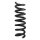 Fahrwerksfeder-Set hinten Schraubenfeder 294mm SPIDAN für BMW 2 Cabriolet