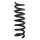 Suspension spring set rear coil spring 294mm SPIDAN for BMW 2 Cabriolet
