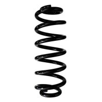 Fahrwerksfeder-Set hinten Schraubenfeder 324mm SPIDAN...