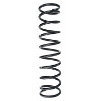 Fahrwerksfeder-Set hinten Schraubenfeder 450mm SPIDAN...