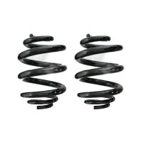 Fahrwerksfeder-Set hinten Schraubenfeder 250mm SPIDAN...
