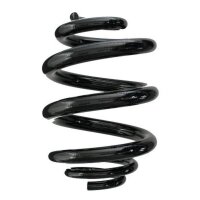 Fahrwerksfeder-Set hinten Schraubenfeder 250mm SPIDAN...