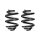 Suspension spring set rear coil spring 250mm SPIDAN for VW MULTIVAN T5