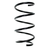 Fahrwerksfeder-Set vorne Schraubenfeder 313mm SPIDAN...