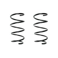 Suspension spring set front coil spring 313mm SPIDAN for...
