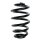 Fahrwerksfeder-Set hinten Schraubenfeder 250mm SPIDAN für AUDI A4 B7