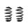 Suspension spring set rear coil spring 250mm SPIDAN for AUDI A4 B7