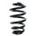 Suspension spring set rear coil spring 250mm SPIDAN for AUDI A4 B7