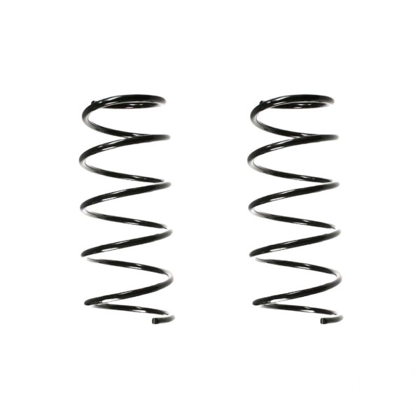 Fahrwerksfeder-Set SPIDAN für RENAULT LAGUNA I