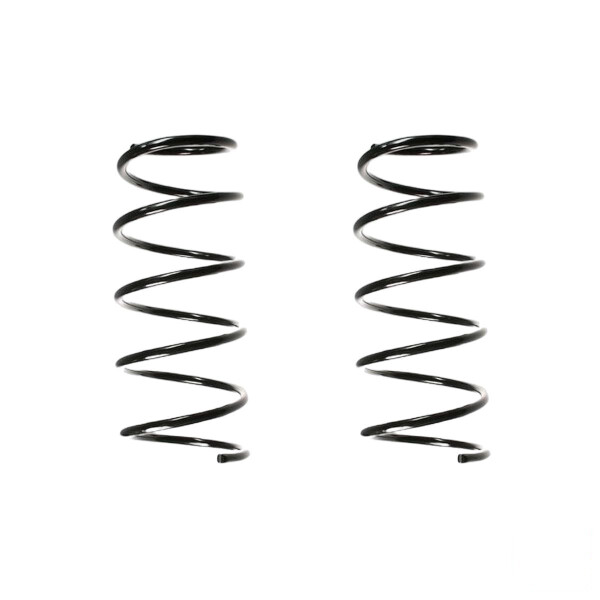 Suspension spring set Replacement Fit SPIDAN for RENAULT LAGUNA I