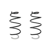 Fahrwerksfedern-Set vorne Schraubenfeder 368mm SPIDAN...