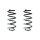 Fahrwerksfeder-Set hinten Schraubenfeder 260mm SPIDAN für AUDI TT (8J3)