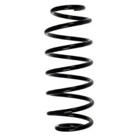 Fahrwerksfeder-Set hinten Schraubenfeder 313mm SPIDAN...