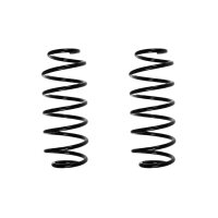 Suspension spring set rear coil spring 313mm SPIDAN for...