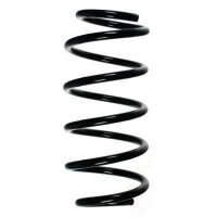 Fahrwerksfeder-Set vorne Schraubenfeder 308mm SPIDAN...