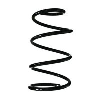 Fahrwerksfeder-Set hinten Schraubenfeder 287mm SPIDAN...