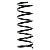 Fahrwerksfeder-Set hinten Schraubenfeder 317mm SPIDAN...