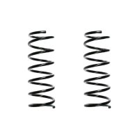 Suspension spring set rear coil spring 317mm SPIDAN for...