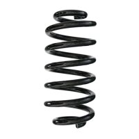 Suspension spring set rear coil spring 243mm SPIDAN for...