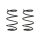 Fahrwerksfeder-Set vorne Schraubenfeder 303mm SPIDAN für BMW 3 (E46)