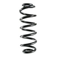 Fahrwerksfeder-Set hinten Schraubenfeder 317mm SPIDAN...