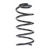 Fahrwerksfeder-Set hinten Schraubenfeder 269mm SPIDAN...