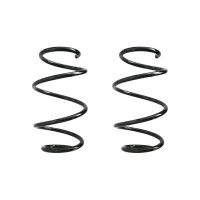 Fahrwerksfeder-Set vorne Schraubenfeder 292mm SPIDAN...