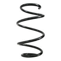 Fahrwerksfedern-Set vorne Schraubenfeder 292mm SPIDAN...