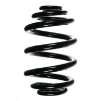 Fahrwerksfeder-Set hinten Schraubenfeder 245mm SPIDAN...