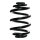 Fahrwerksfeder-Set hinten Schraubenfeder 245mm SPIDAN für BMW 3 (E46)