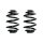 Suspension spring set rear coil spring 245mm SPIDAN for BMW 3 E46