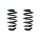 Fahrwerksfeder-Set hinten Schraubenfeder 252mm SPIDAN für AUDI A4 B7
