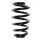 Fahrwerksfeder-Set hinten Schraubenfeder 252mm SPIDAN für AUDI A4 B7