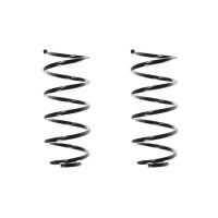 Suspension spring set rear coil spring 246mm SPIDAN for...