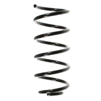 Suspension spring set rear coil spring 246mm SPIDAN for...