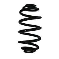 Suspension spring set rear coil spring 290mm SPIDAN for...