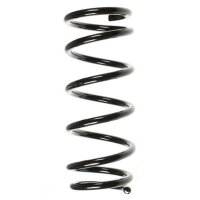 Fahrwerksfeder-Set hinten Schraubenfeder 298mm SPIDAN...