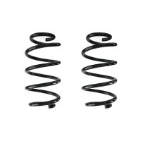 Suspension spring set rear coil spring 253mm SPIDAN for...