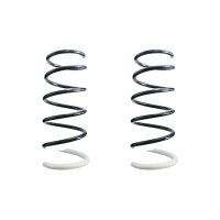 Fahrwerksfeder-Set hinten Schraubenfeder 348mm SPIDAN...