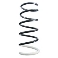 Fahrwerksfeder-Set hinten Schraubenfeder 348mm SPIDAN...