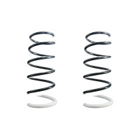 Suspension spring set rear coil spring 348mm SPIDAN for...