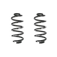 Fahrwerksfeder-Set hinten Schraubenfeder 298mm SPIDAN...